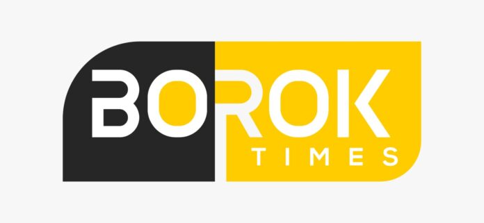 Borok Times logo